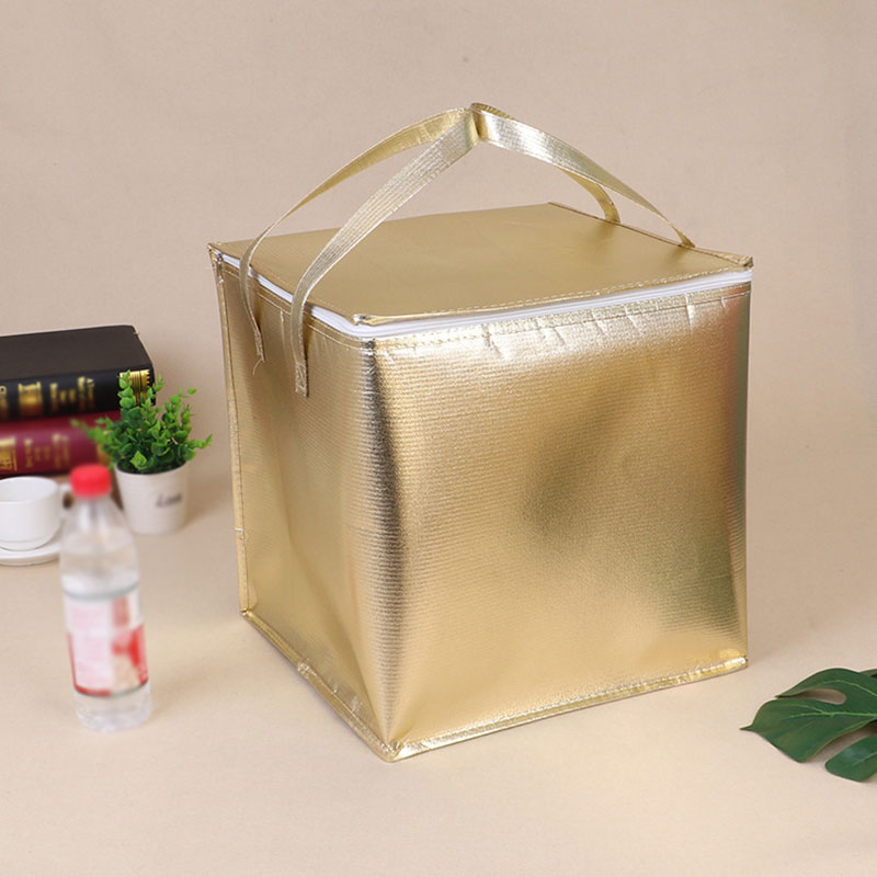 Insulated Thermal Cooler Bag