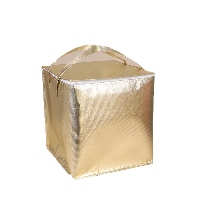 Insulated Thermal Cooler Bag