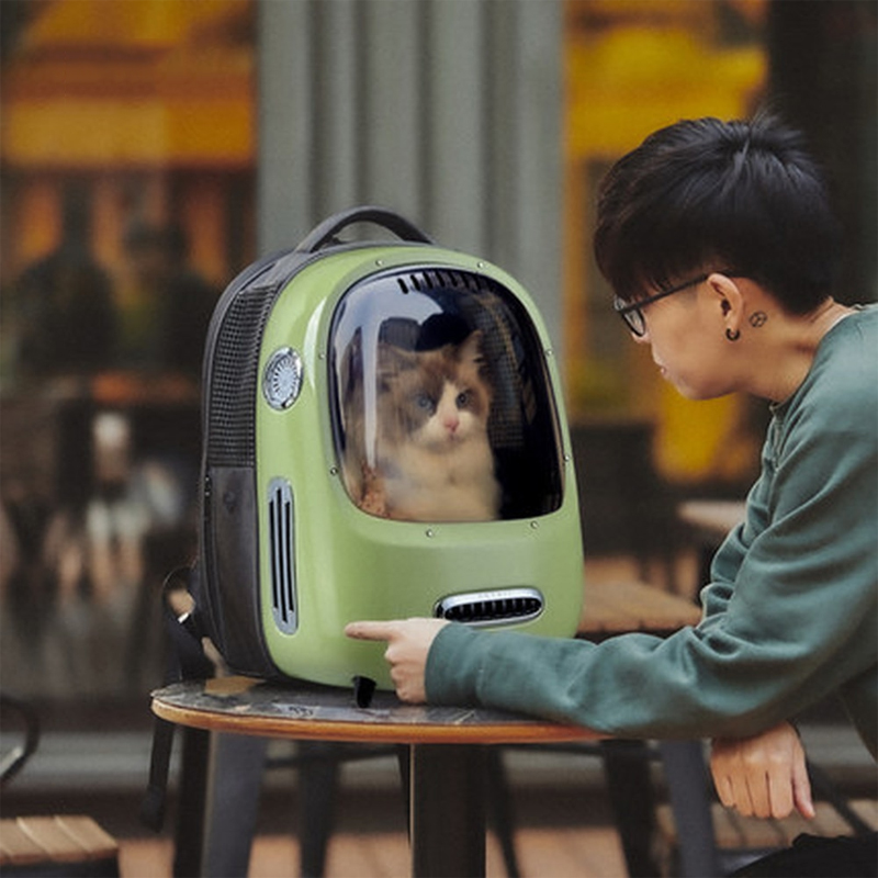 Pet Carier Small Dog Cat Pet Transport Bag Carrying